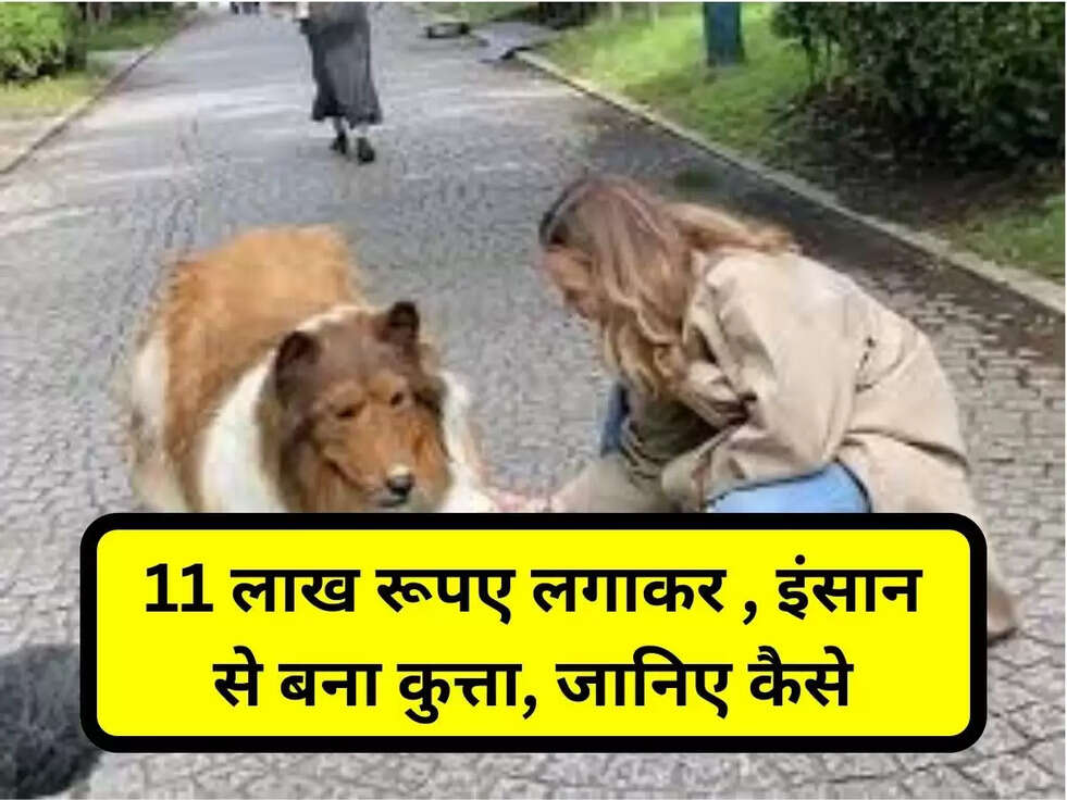 Ajab Gajab latest News