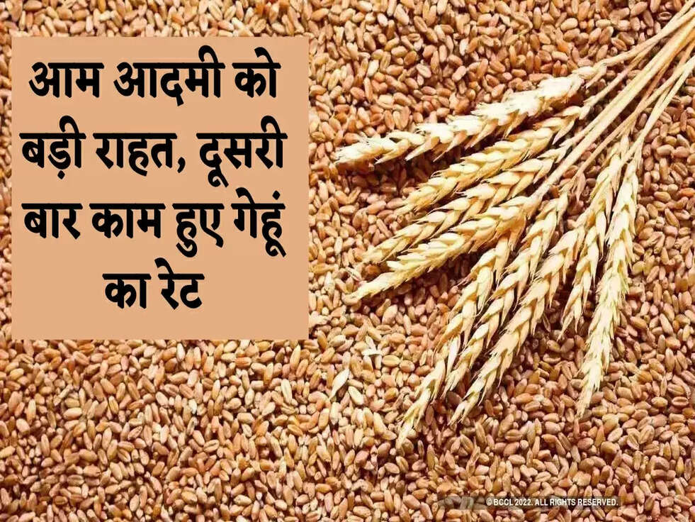 Wheat Price: आम आदमी को बड़ी राहत, दूसरी बार काम हुए गेहूं का रेट