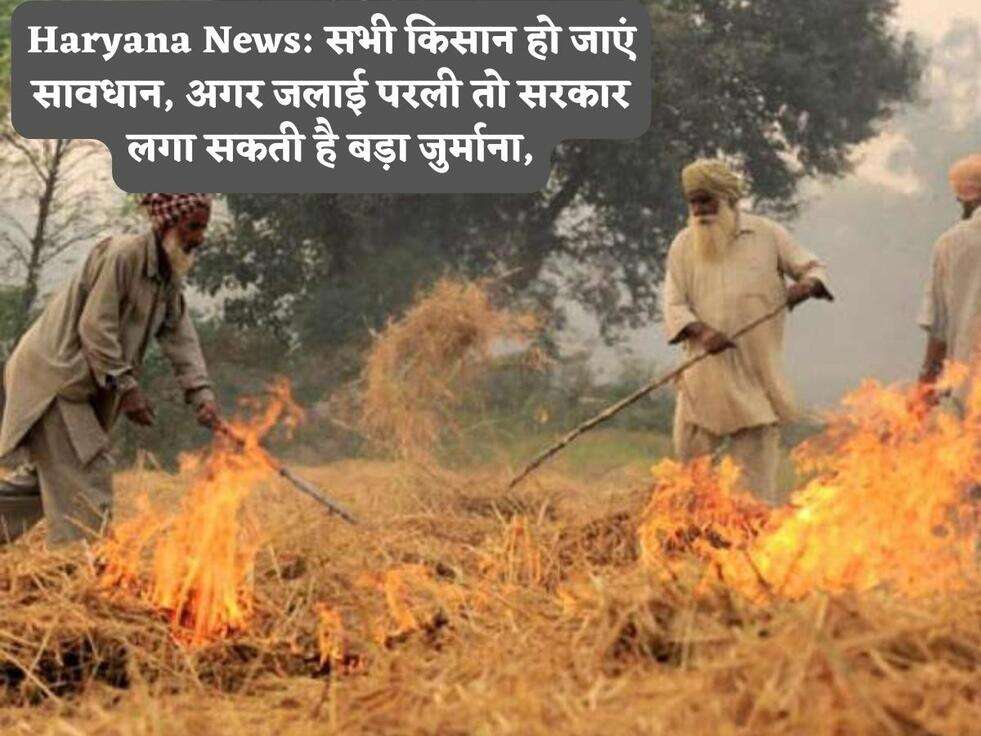 Haryana News: सभी किसान हो जाएं सावधान, अगर जलाई परली तो सरकार लगा सकती है बड़ा जुर्माना,