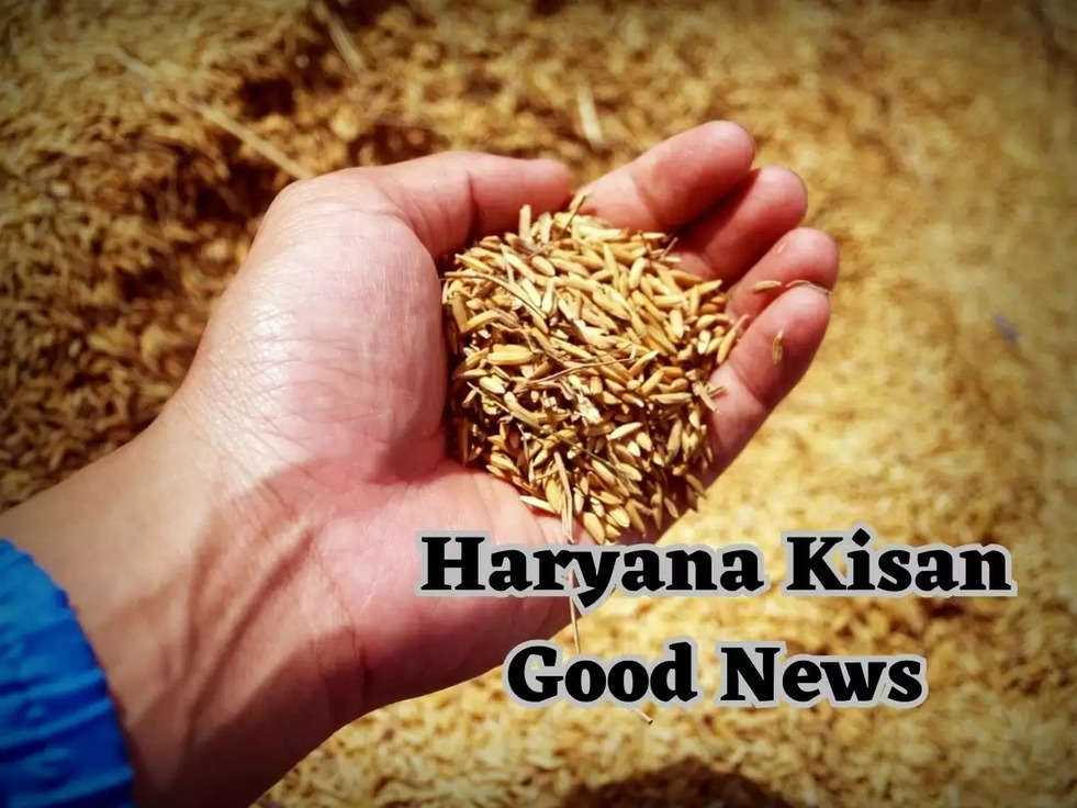 Haryana Kisan Good News: हरियाणा में किसानों के खातों में फसल भुगतान ऑनलाइन होगा ट्रांसफर, कल आएंगे इतने करोड़ रूपये