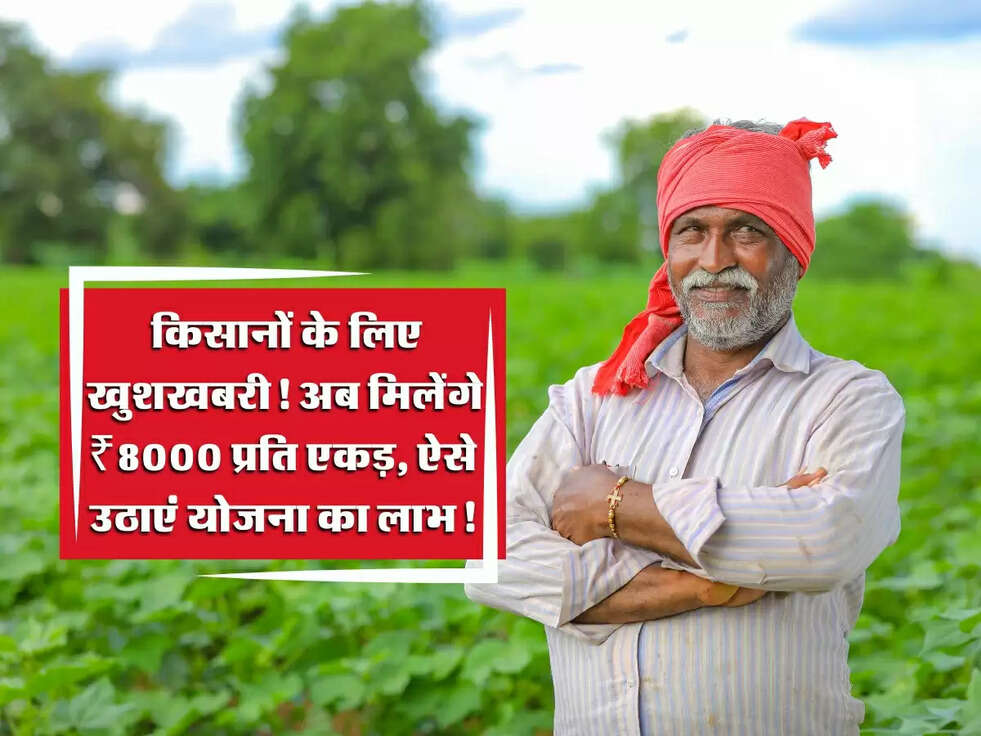 Haryana: किसानों के लिए खुशखबरी! अब मिलेंगे ₹8000 प्रति एकड़, ऐसे उठाएं योजना का लाभ!