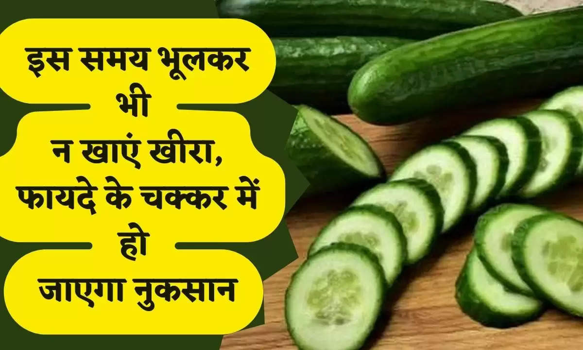 Cucumber Side Effects: इस समय भूलकर भी न खाएं खीरा, फायदे के चक्कर में हो जाएगा नुकसान