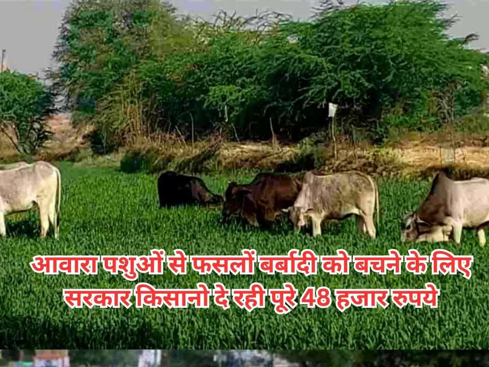 Rajasthan Govt Tarbandi Yojana