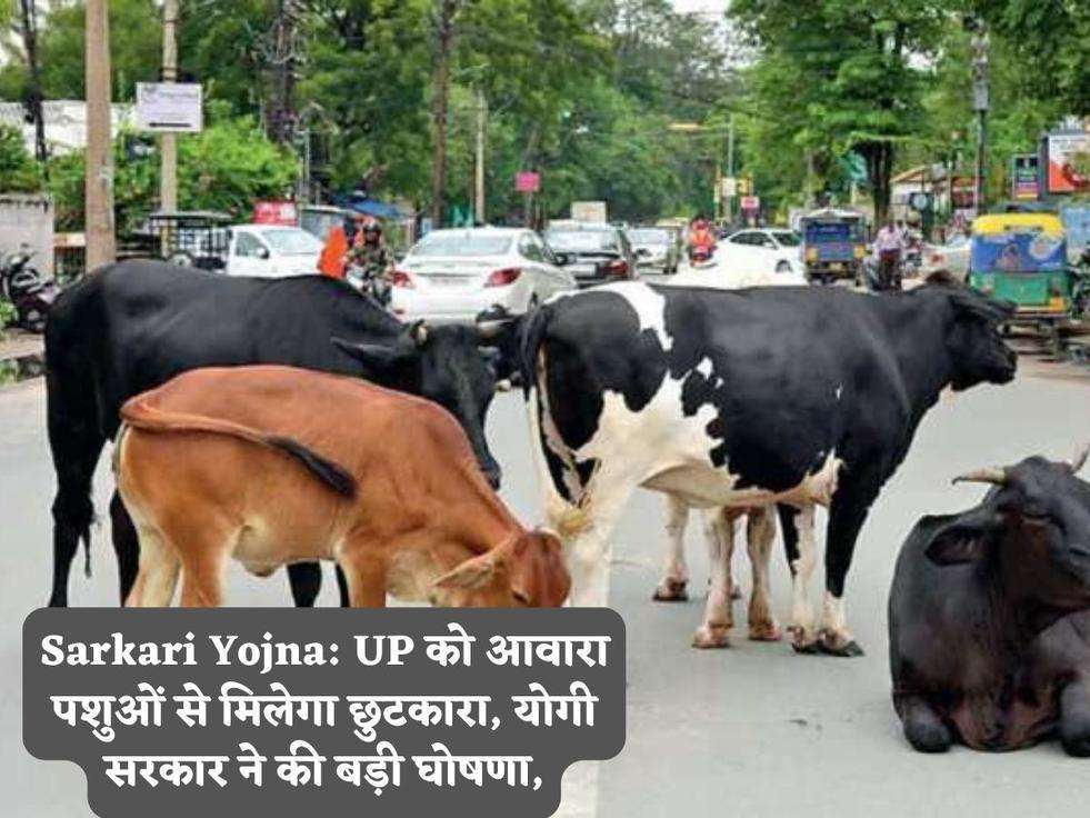 Sarkari Yojna: UP को आवारा पशुओं से मिलेगा छुटकारा, योगी सरकार ने की बड़ी घोषणा,