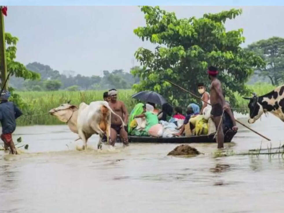 Farming in Flood: जानिए कोनसी &nbsp;तकनीकें किसानों को बाढ़ग्रस्त इलाकों में दिला सकती हैं अच्छा मुनाफा&nbsp;