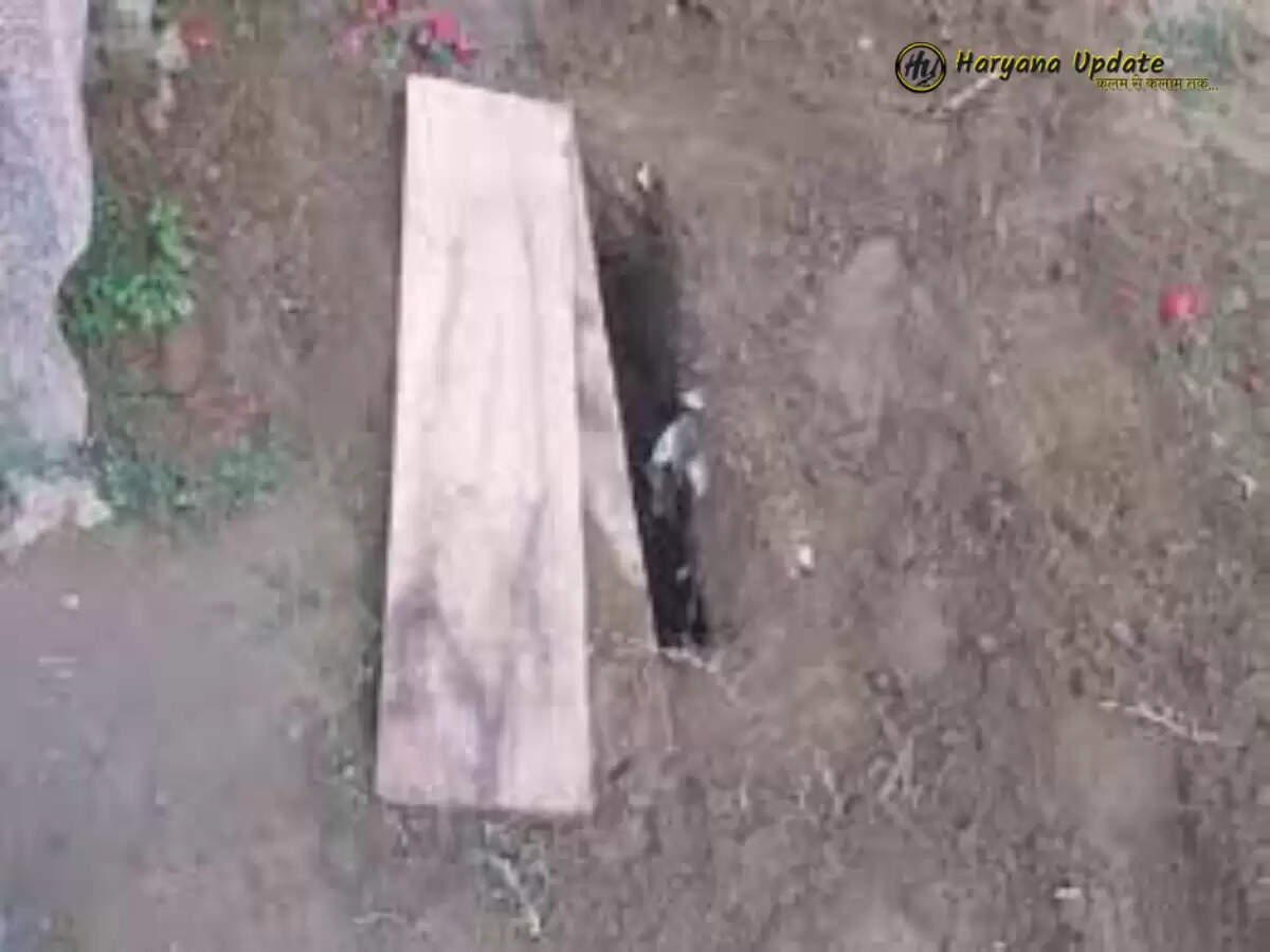 शमशान घाट से चोरी हुए पाँच शव, जानिए पूरा मामला