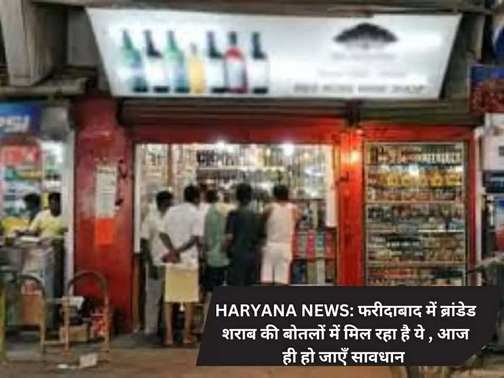 haryana news 