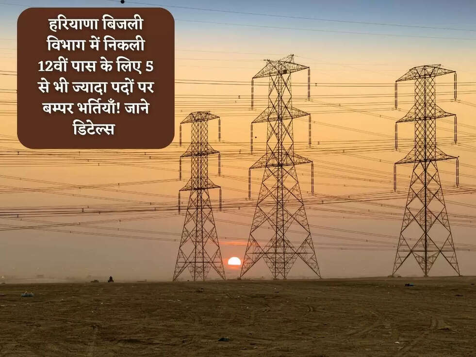 हरियाणा बिजली विभाग में निकली 12वीं पास के लिए 5 से भी ज्यादा पदों पर बम्पर भर्तियाँ! जाने डिटेल्स&nbsp;