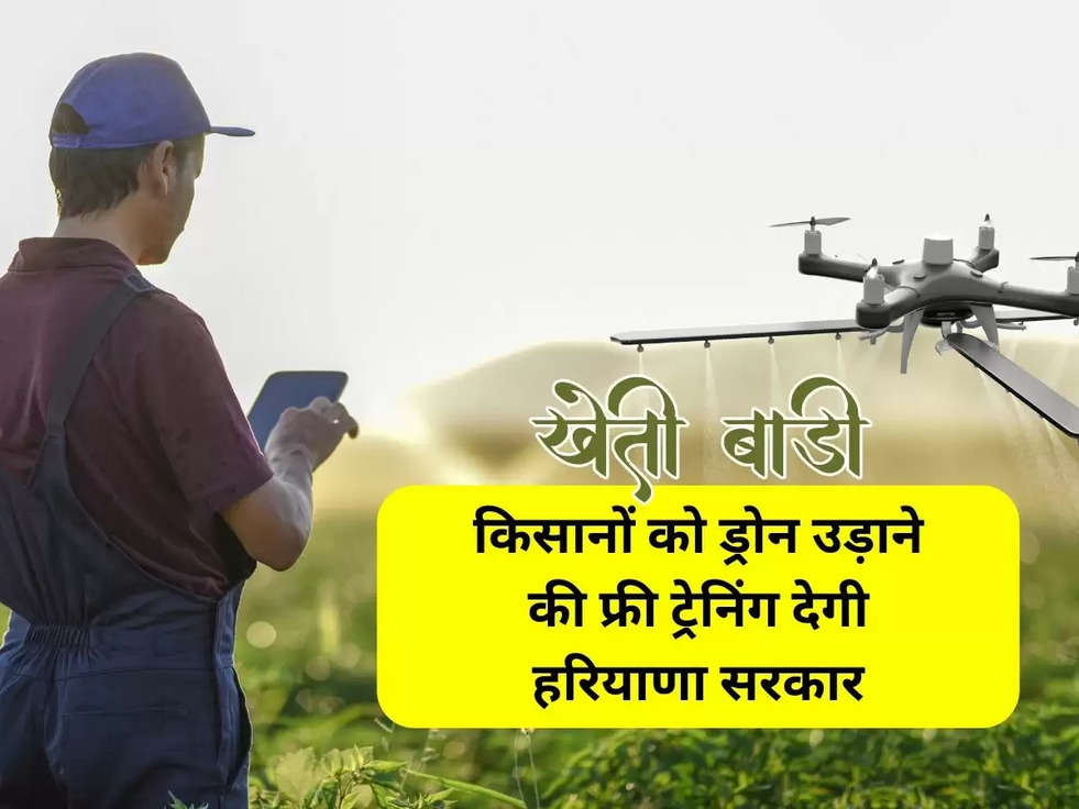 haryana agriculture news