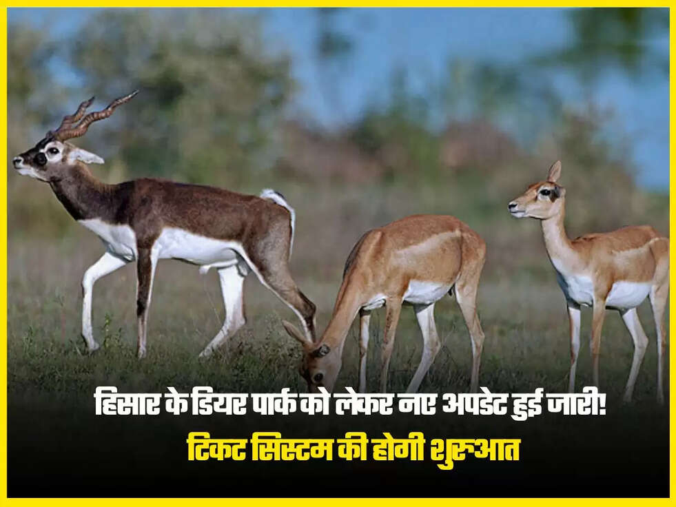 हिसार के डियर पार्क को लेकर नए अपडेट हुई जारी