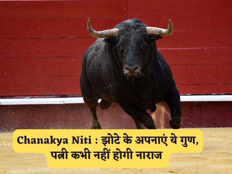 Chanakya Niti : झोटे के अपनाएं ये गुण, पत्नी कभी नहीं होगी नाराज&nbsp;