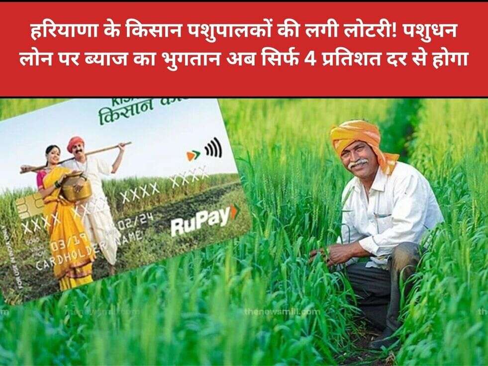 हरियाणा&nbsp;के किसान पशुपालकों की लगी लोटरी! पशुधन लोन पर ब्याज का भुगतान अब सिर्फ 4 प्रतिशत दर से होगा