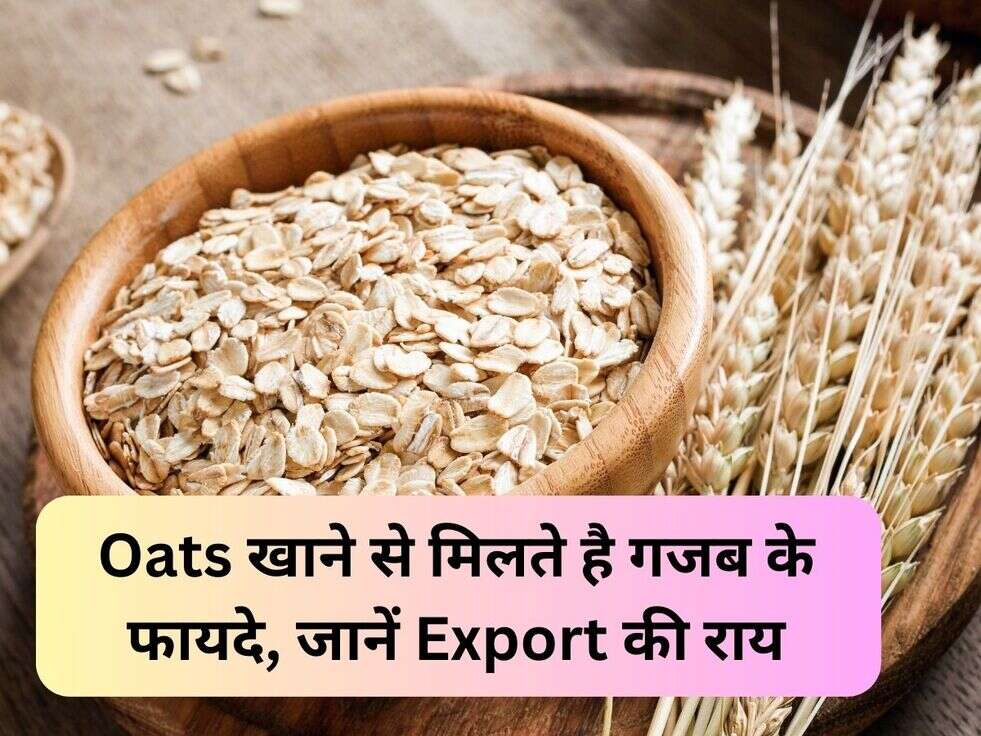 Oats खाने से मिलते है गजब के फायदे, जानें Export की राय