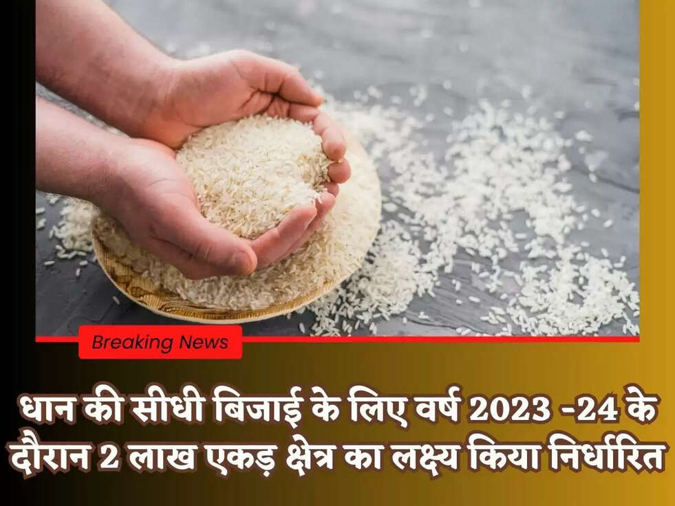 धान की सीधी बिजाई के लिए वर्ष 2023 -24 के दौरान 2 लाख एकड़ क्षेत्र का&nbsp;लक्ष्य किया निर्धारित