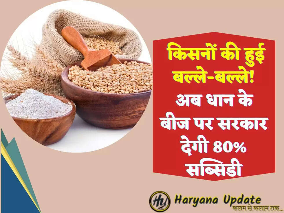 &nbsp;किसनों की हुई बल्ले-बल्ले! अब धान के बीज पर सरकार देगी 80% सब्सिडी