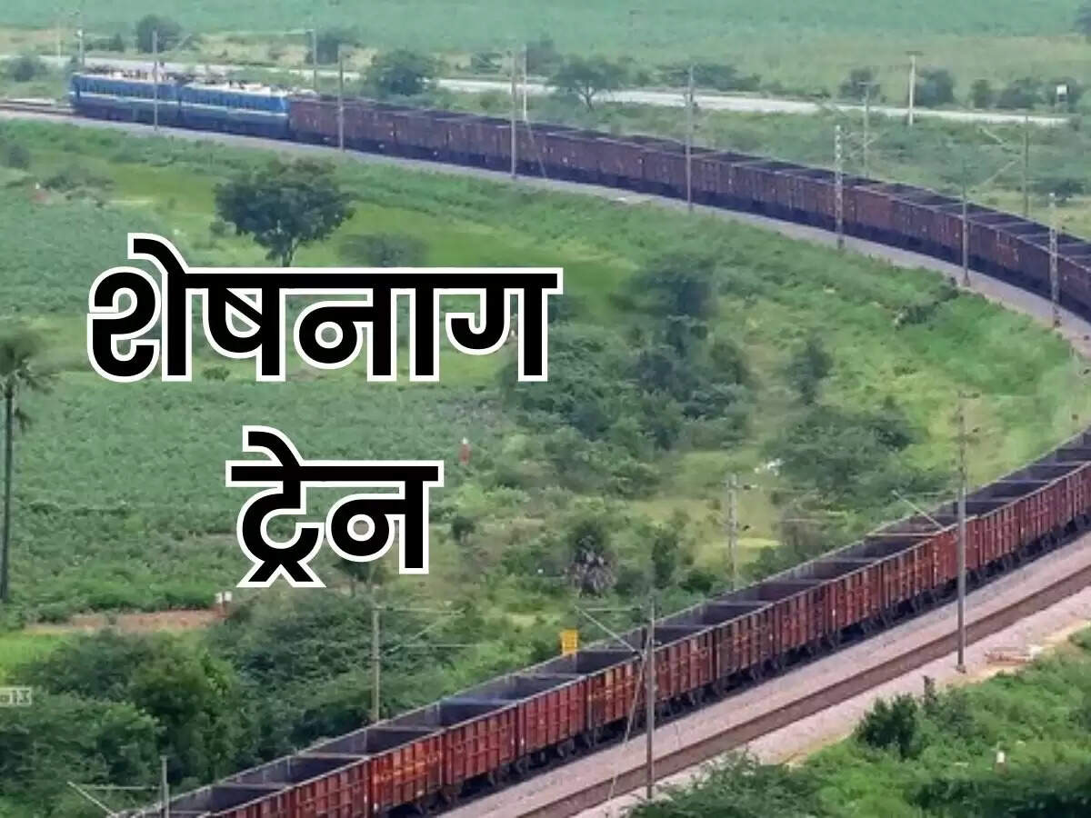 sheshnaag train