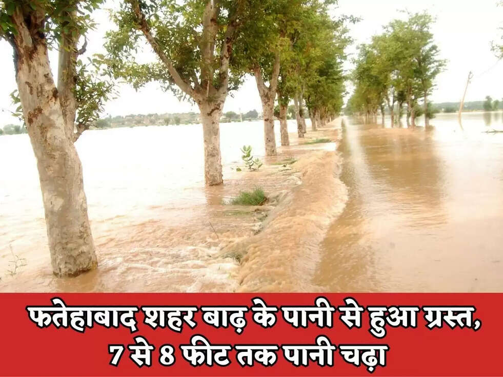 Flood News : फतेहाबाद शहर बाढ़ के पानी से हुआ ग्रस्त, 7 से 8 फीट तक पानी चढ़ा&nbsp;