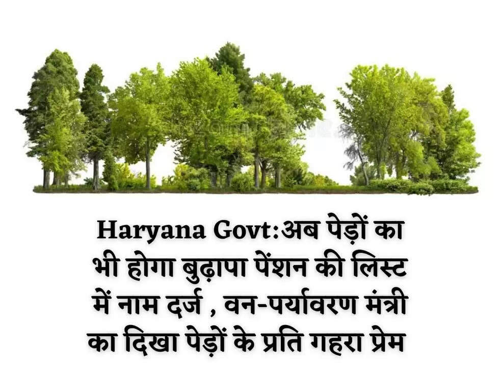 Haryana Govt:अब पेड़ों का भी होगा बुढ़ापा पेंशन की लिस्ट में नाम दर्ज , वन-पर्यावरण मंत्री का दिखा पेड़ों के प्रति गहरा प्रेम 