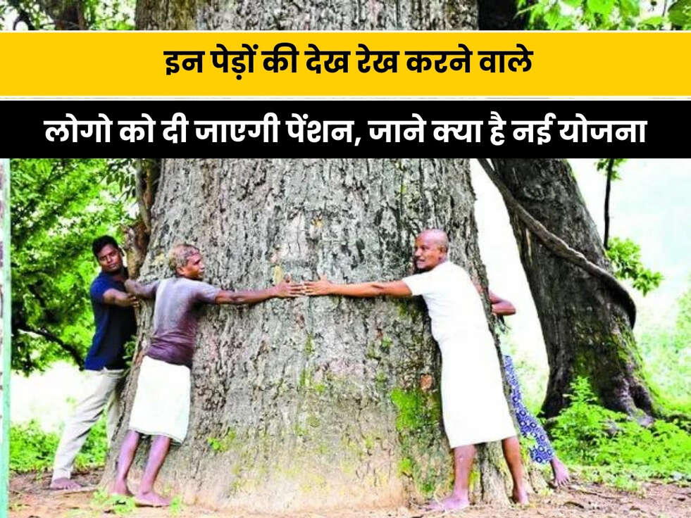 Pran Vayu Devata Yojana: हरियाणा सरकार की नई पहल, इन पेड़ों की देख रेख करने वालों लोगो को दी जाएगी पेंशन, जाने क्या है नई योजना