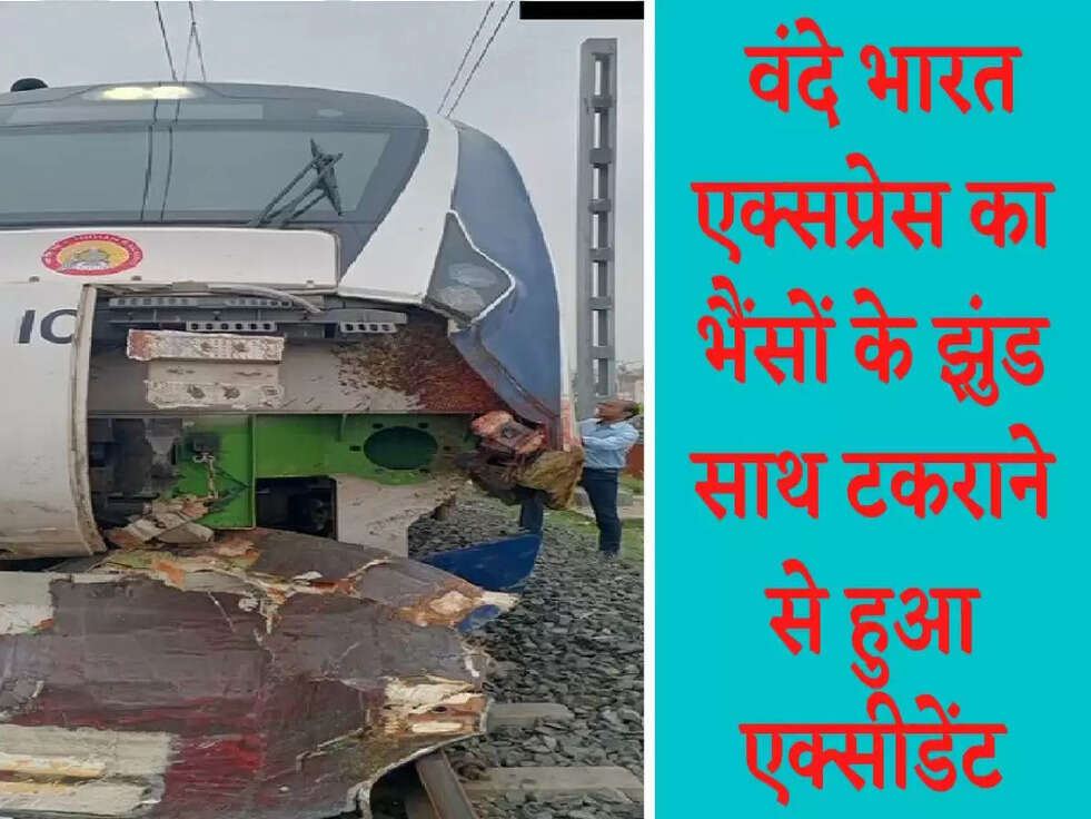 Vande Bharat Express: वंदे भारत एक्सप्रेस का भैंसों के झुंड साथ टकराने से हुआ एक्सीडेंट