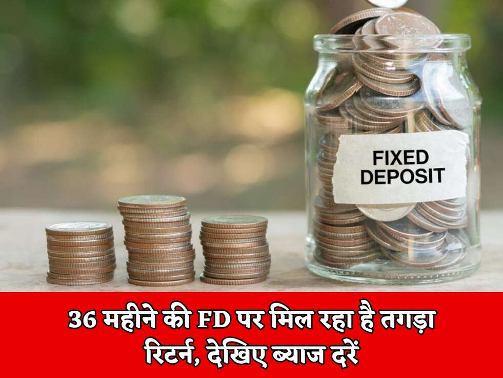 36 महीने की FD पर मिल रहा है तगड़ा रिटर्न, देखिए ब्याज दरें