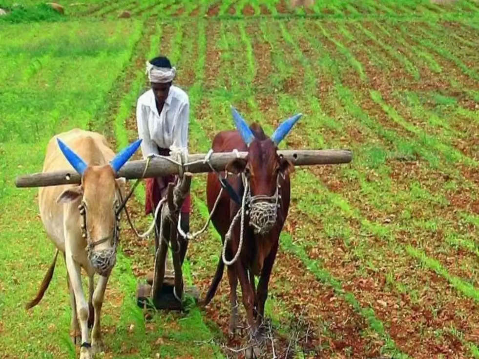 PM Kisan Beneficiary : किसानों के लिए खुसखबरी, बिना गारंटी के पाएं लोन, जानिए कैसे