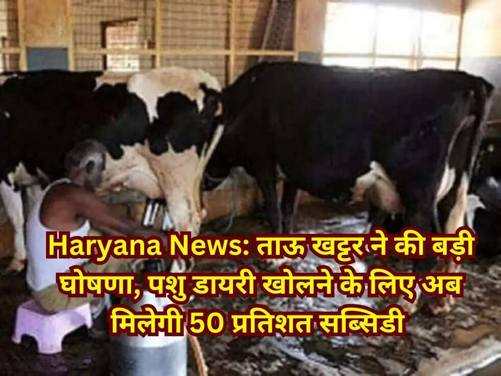 Haryana News: ताऊ खट्टर ने की बड़ी घोषणा, पशु डायरी खोलने के लिए अब मिलेगी 50 प्रतिशत सब्सिडी 