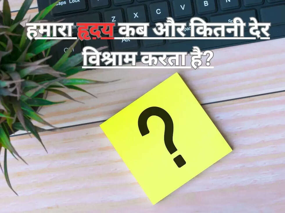 हमारा हृदय कब और कितनी देर विश्राम करता है?