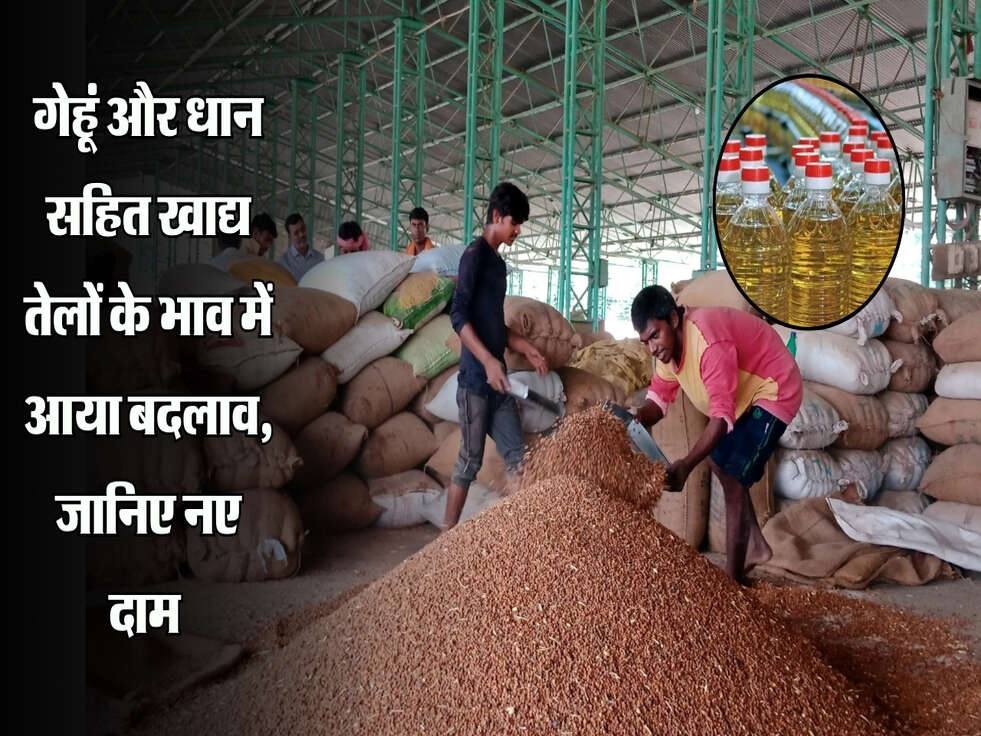 गेहूं और धान सहित खाद्य तेलों के भाव में आया बदलाव, जानिए नए दाम&nbsp;