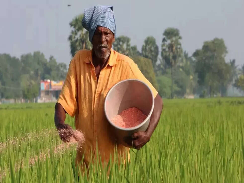 DAP खाद मिलेगी सस्ते में, जानिए नई स्कीम&nbsp;