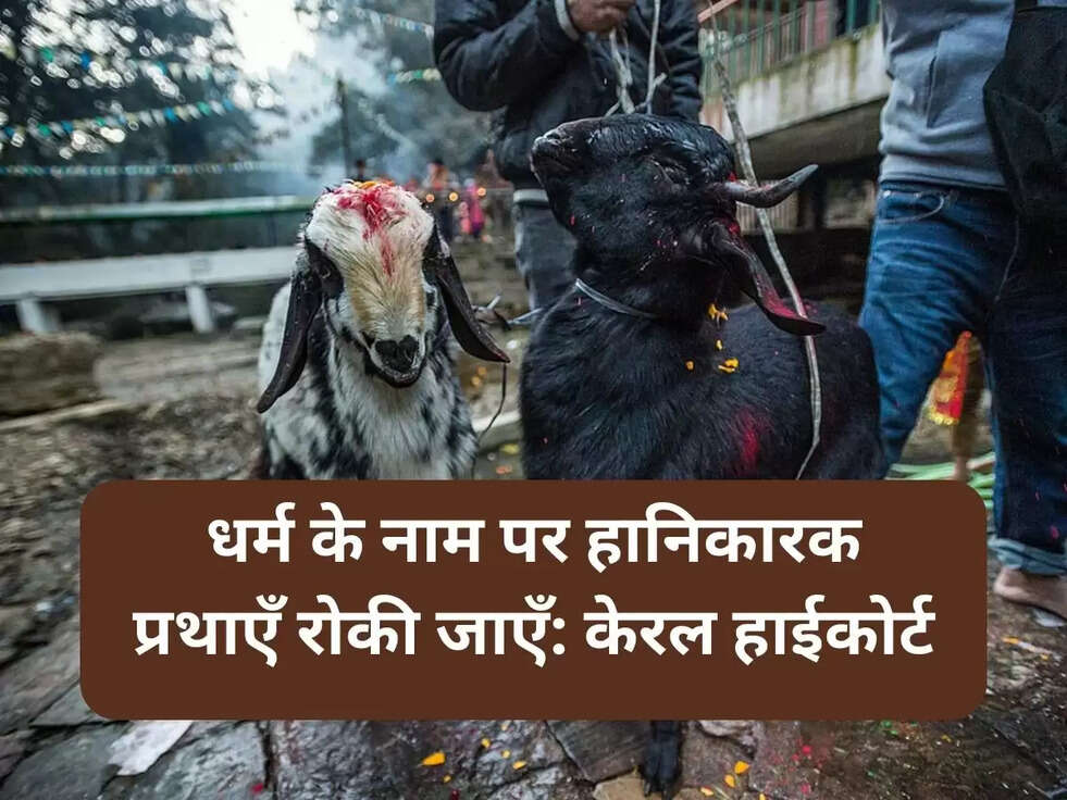 animal sacrifice kerala