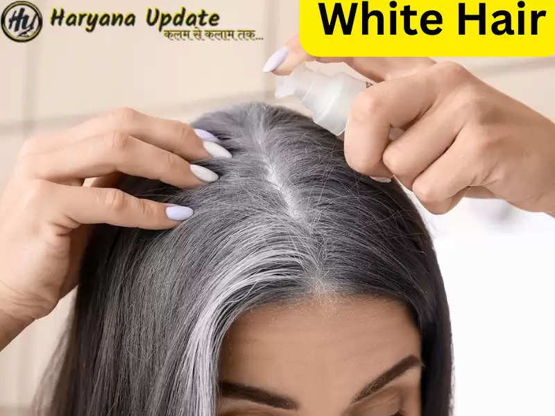 सफद बल क कल करन ह त य 8 घरल उपय ह करगर  Best Home  Remedies For White Hair Treatment  Amar Ujala Hindi News Live