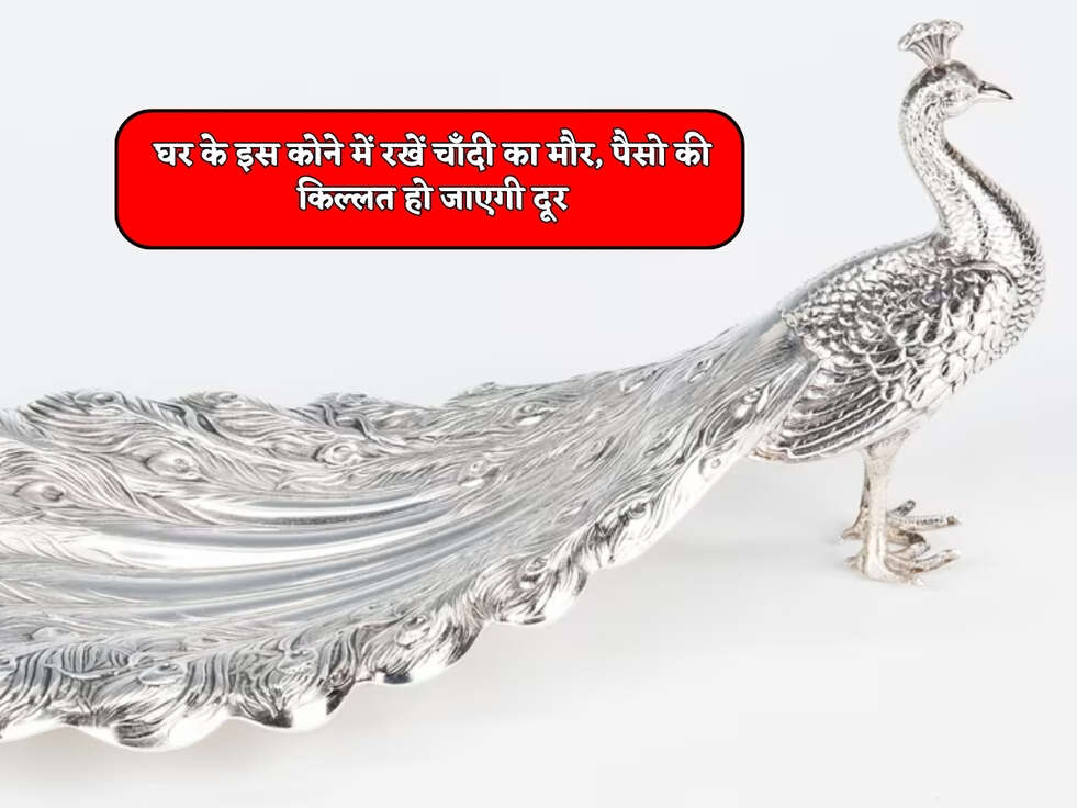 घर के इस कोने में रखें चाँदी का मौर, पैसो की किल्लत हो जाएगी दूर&nbsp;