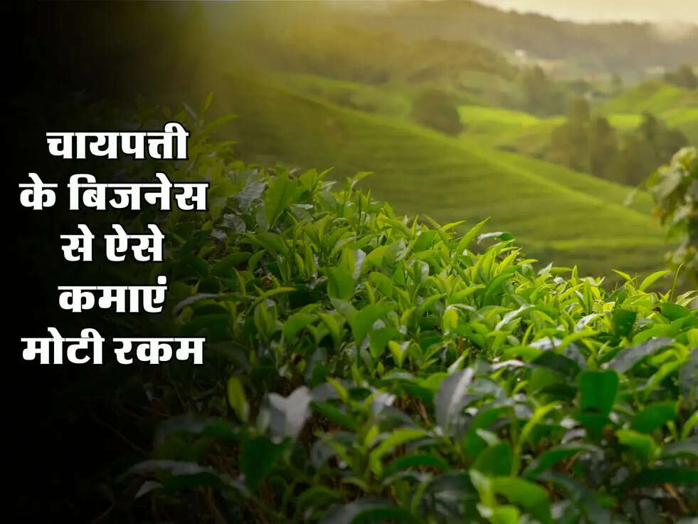 New Business 2025 : चायपत्ती के बिजनेस से ऐसे कमाएं मोटी रकम, किसी को नहीं पता...