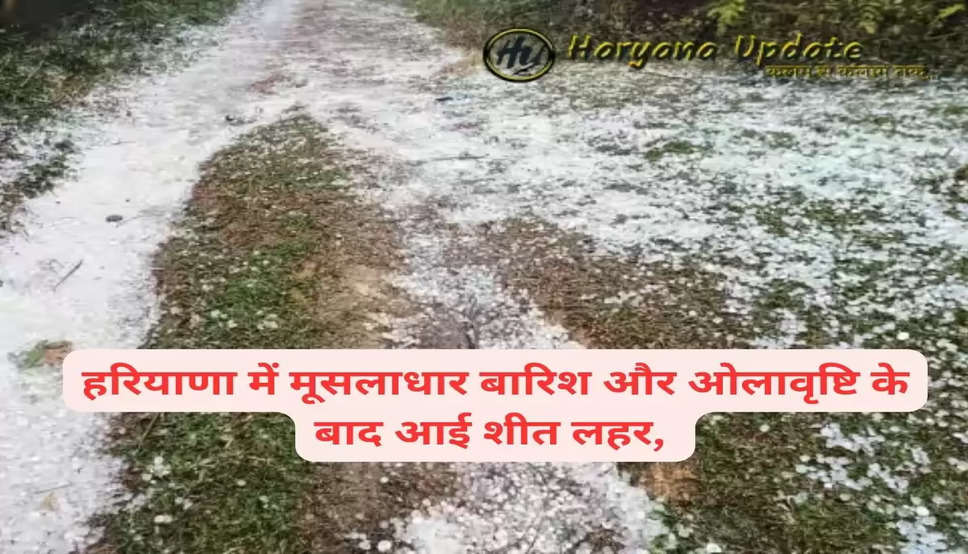 haryana Weather