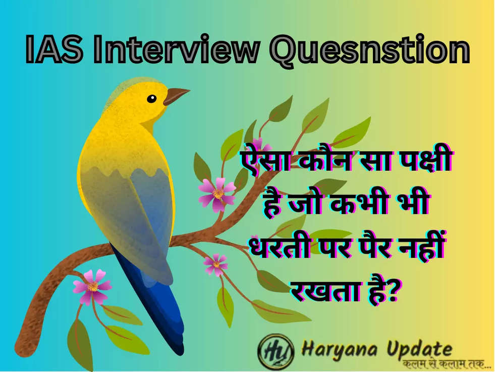 IAS Interview Quesnstion