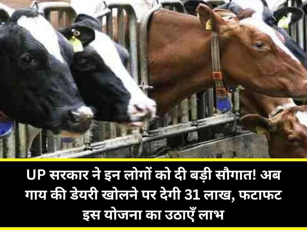 UP सरकार ने इन लोगों को दी बड़ी सौगात! अब गाय की डेयरी खोलने पर देगी 31 लाख, फटाफट इस योजना का उठाएँ लाभ