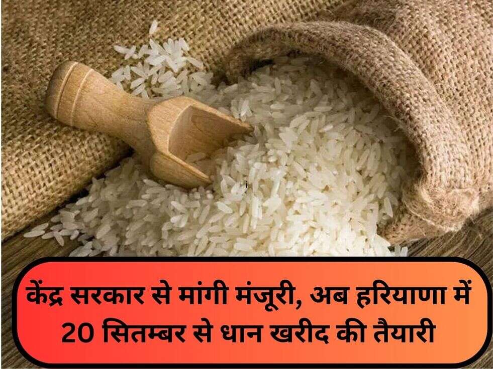 केंद्र सरकार से मांगी मंजूरी, अब हरियाणा में 20 सितम्बर से धान खरीद की तैयारी