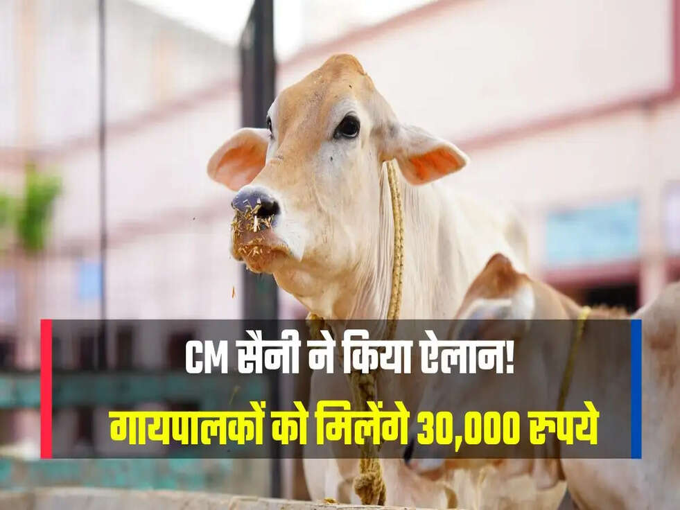 गायपालकों को मिलेंगे 30,000 रुपये