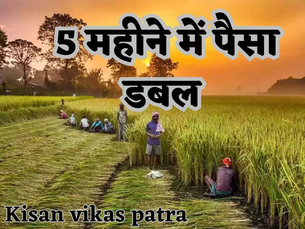 &nbsp;Post Office की इस स्कीम में केवल 5 महीने में पैसा हो जाएगा डबल