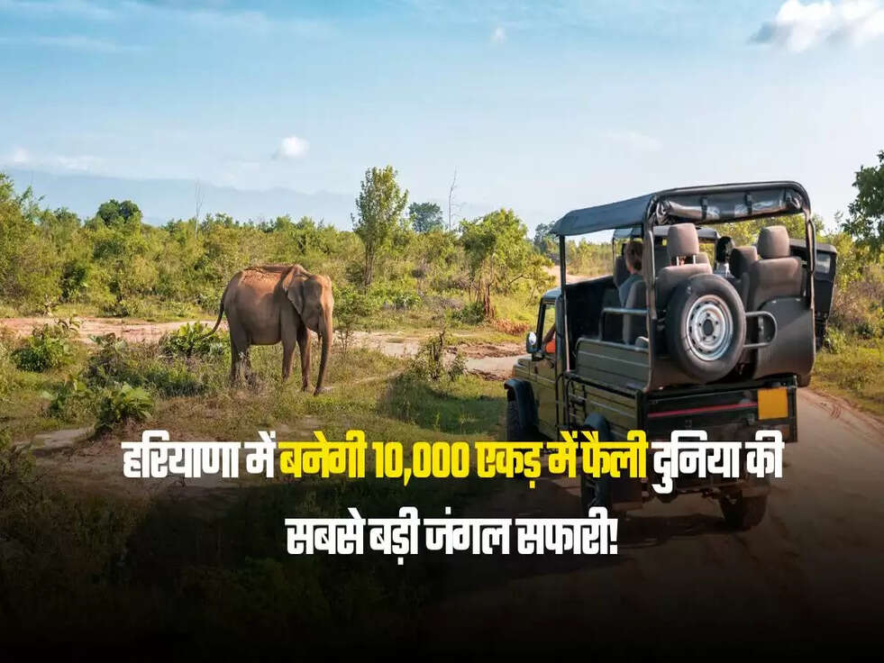 हरियाणा में बनेगी 10,000 एकड़ में फैली दुनिया की सबसे बड़ी जंगल सफारी