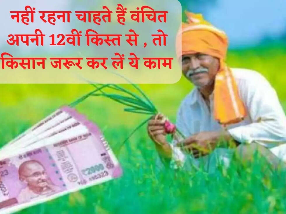 PM Kisan Yojana: नहीं रहना चाहते हैं वंचित अपनी 12वीं किस्त से , तो किसान जरूर कर लें ये काम