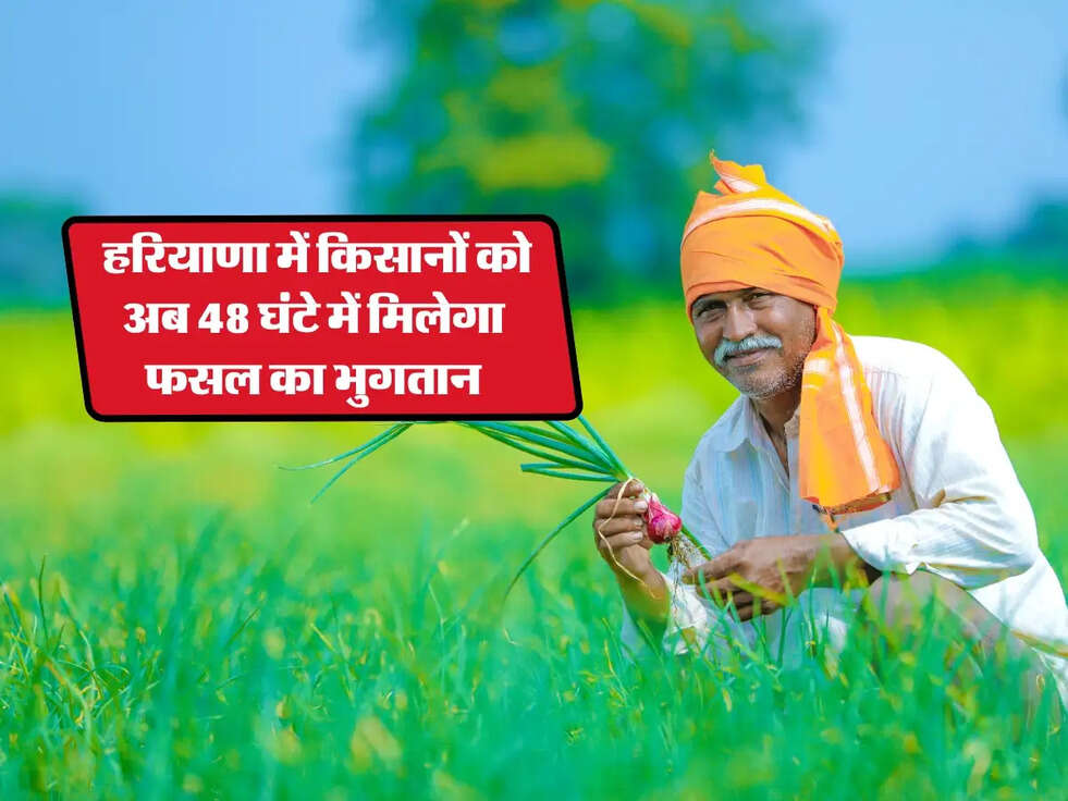 Good News: हरियाणा में किसानों को अब 48 घंटे में मिलेगा फसल का भुगतान