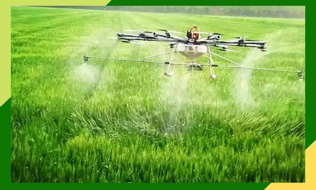 agriculture news in hindi