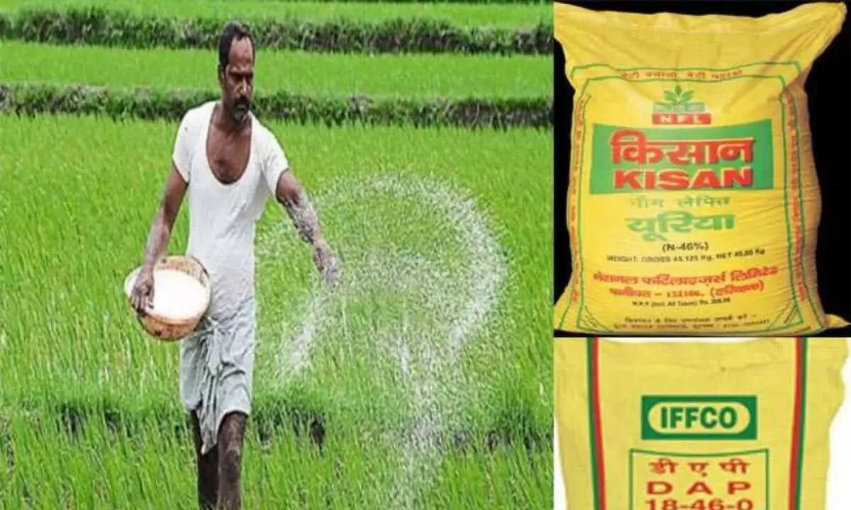 यूरिया खाद के भाव को लेकर बड़ी खबर, जानिए रेट
