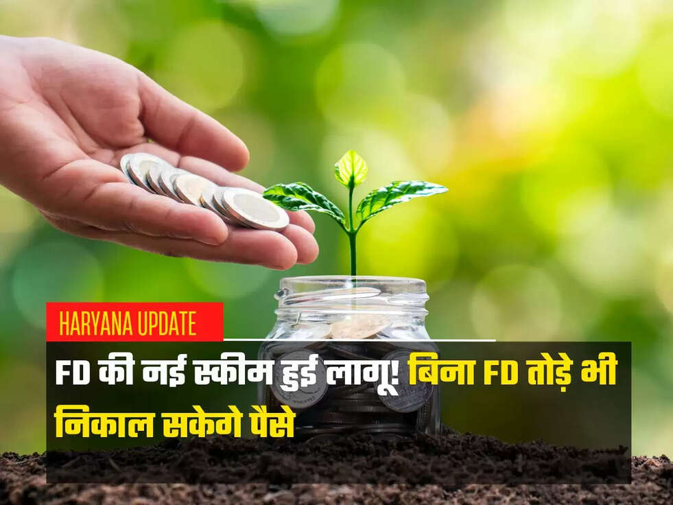 बिना FD तोड़े भी निकाल सकेगे पैसे
