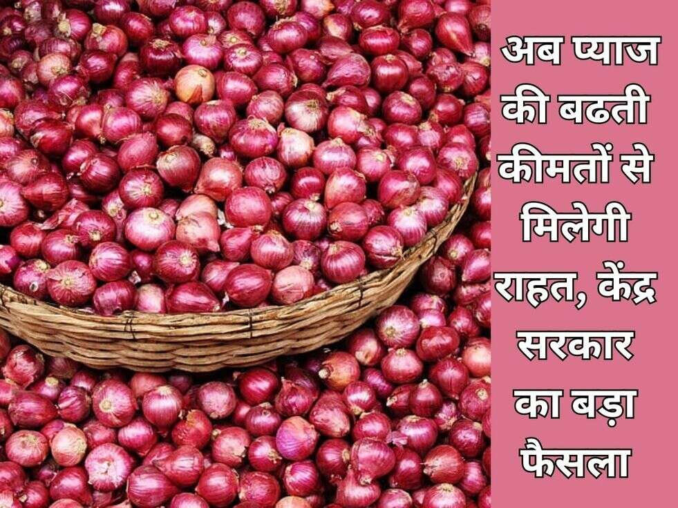 Onion Price