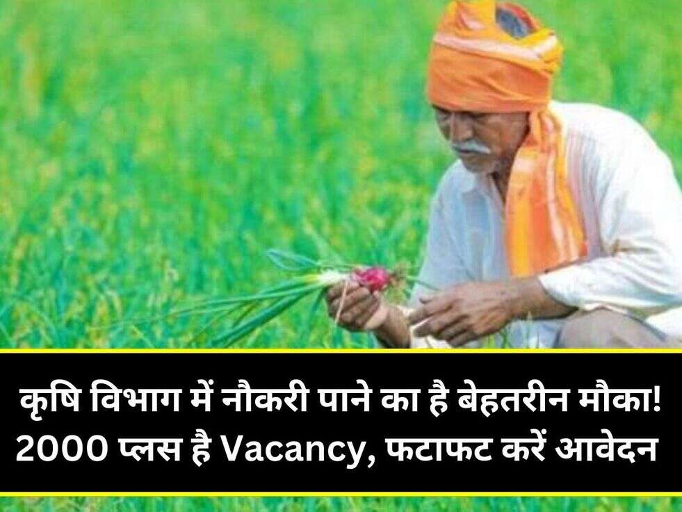 कृषि विभाग में नौकरी पाने का है बेहतरीन मौका! 2000 प्लस है Vacancy, फटाफट करें आवेदन&nbsp;