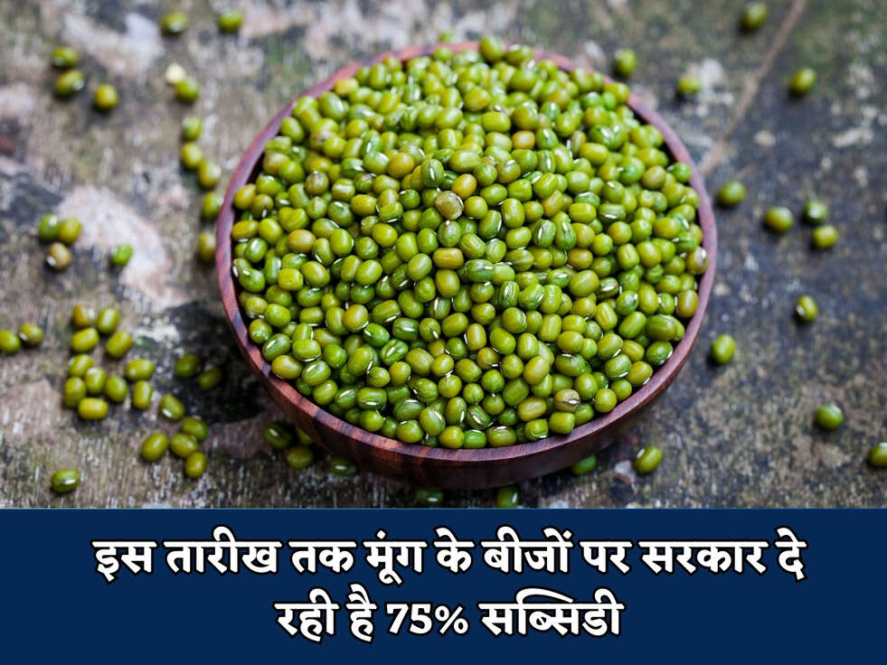 इस तारीख तक मूंग के बीजों पर सरकार दे रही है 75% सब्सिडी