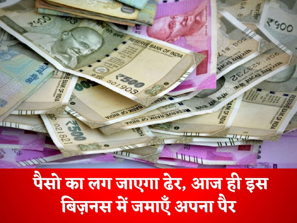 Business Idea : पैसो का लग जाएगा ढेर, आज ही इस बिज़नस में जमाएँ अपना पैर&nbsp;